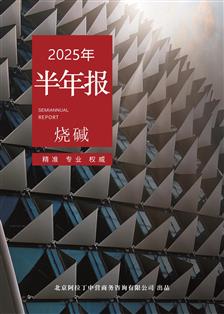 阿拉丁烧碱半年报